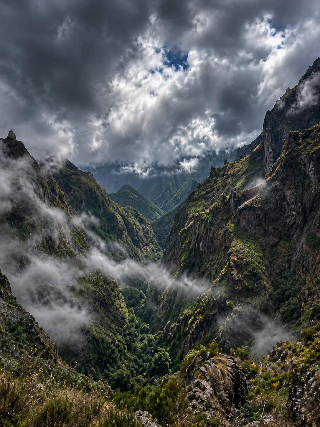 Beyond the Valley